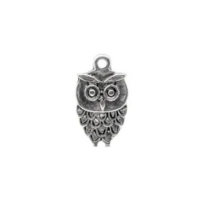 10 Pcs Tibetan Silver owl Harry Potter Bird 18X9mm Charms Pendants