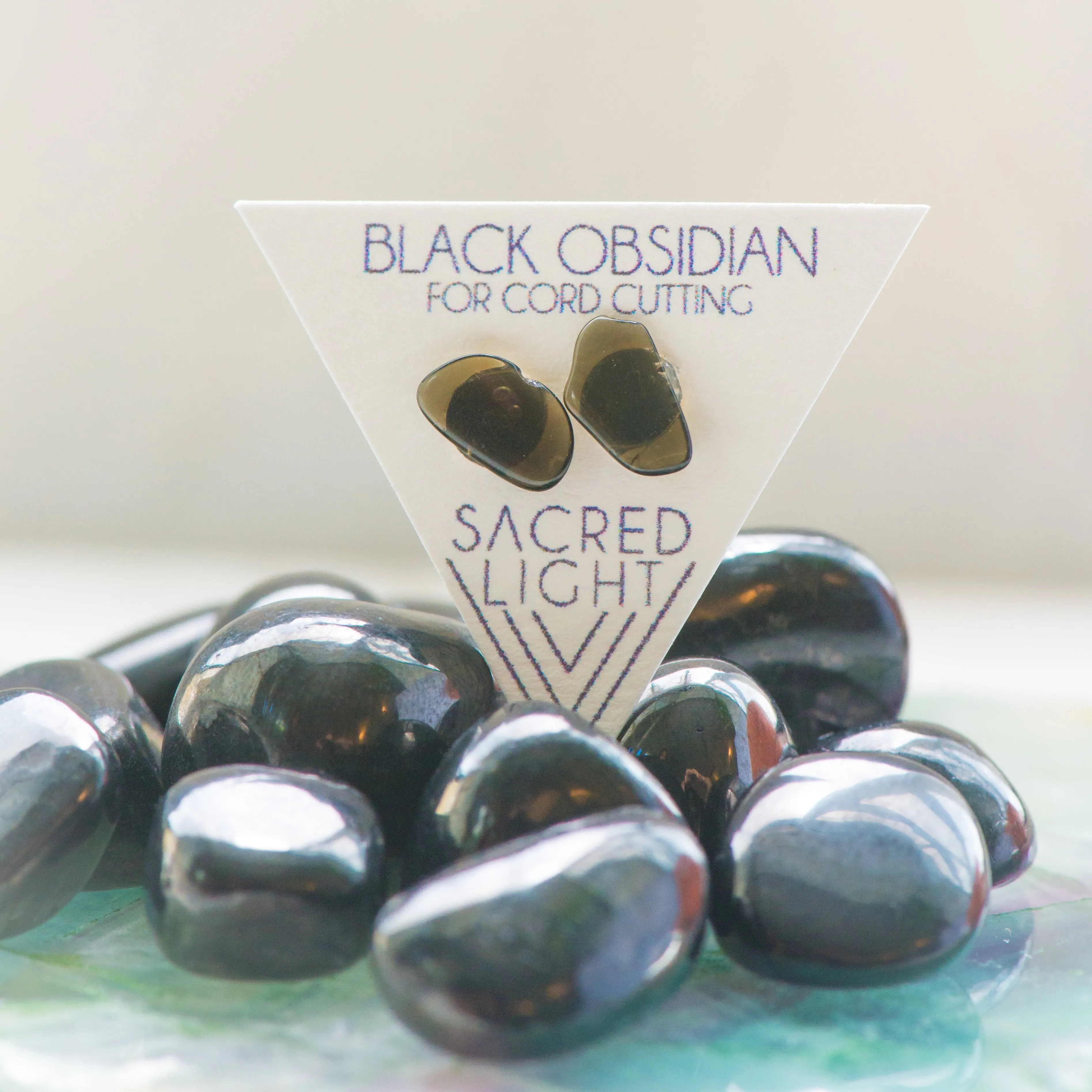 Black Obsidian Earrings